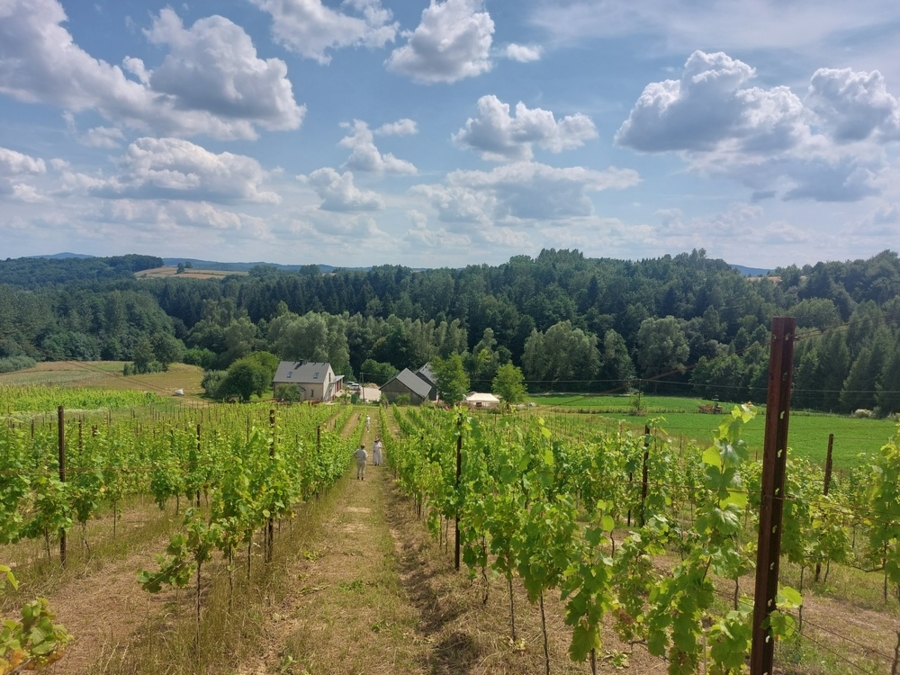 Winnica Kosmos